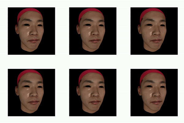 3D face modeling demo